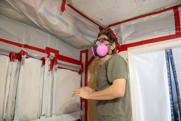 Environmental Consulting for Mold Prevention in Franklin, GA