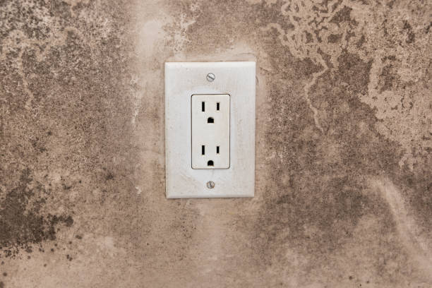 Best Water Damage & Mold Remediation  in Franklin, GA