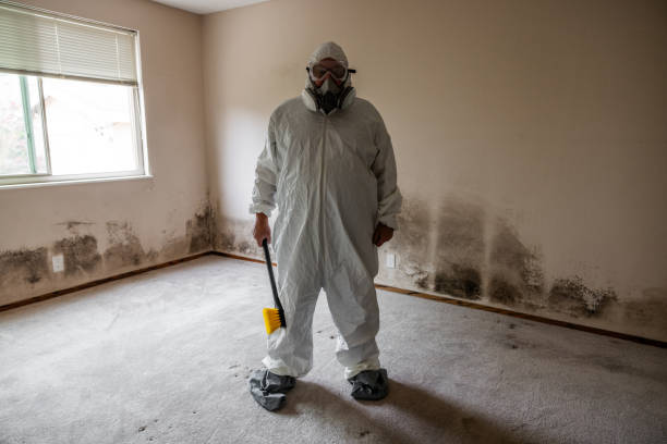 Best Attic Mold Removal  in Franklin, GA
